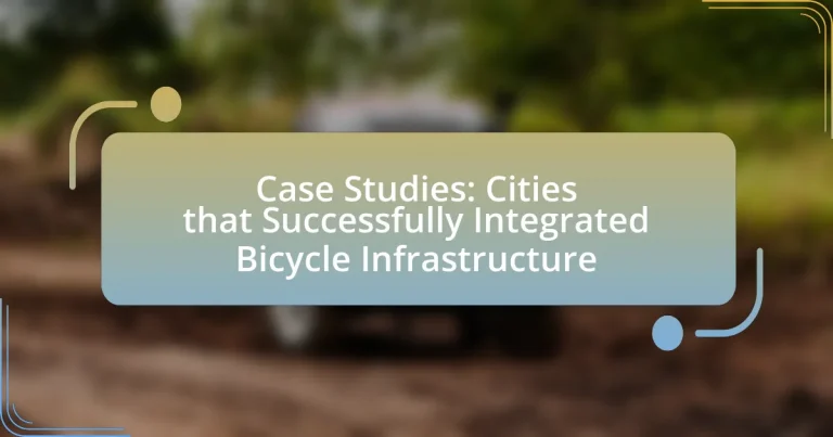 Case Studies: Cities that Successfully Integrated Bicycle Infrastructure