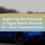 Exploring the Potential of Algae-Based Biofuels for Clean Transportation