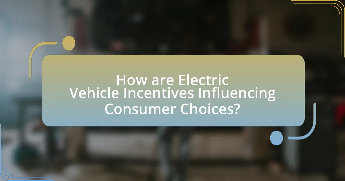 How are Electric Vehicle Incentives Influencing Consumer Choices?