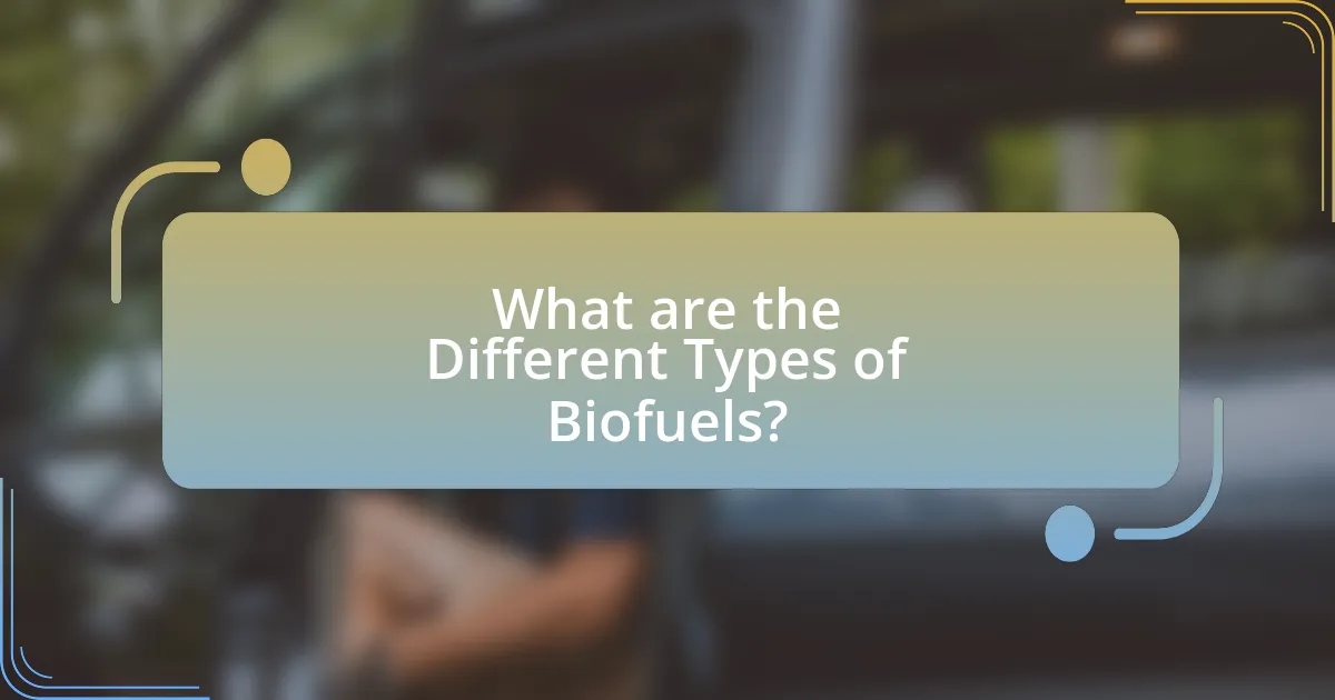 What are the Different Types of Biofuels?