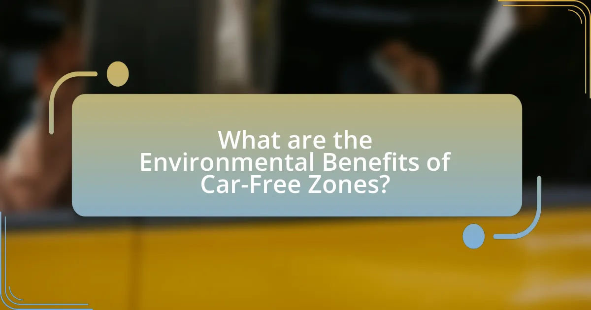 What are the Environmental Benefits of Car-Free Zones?